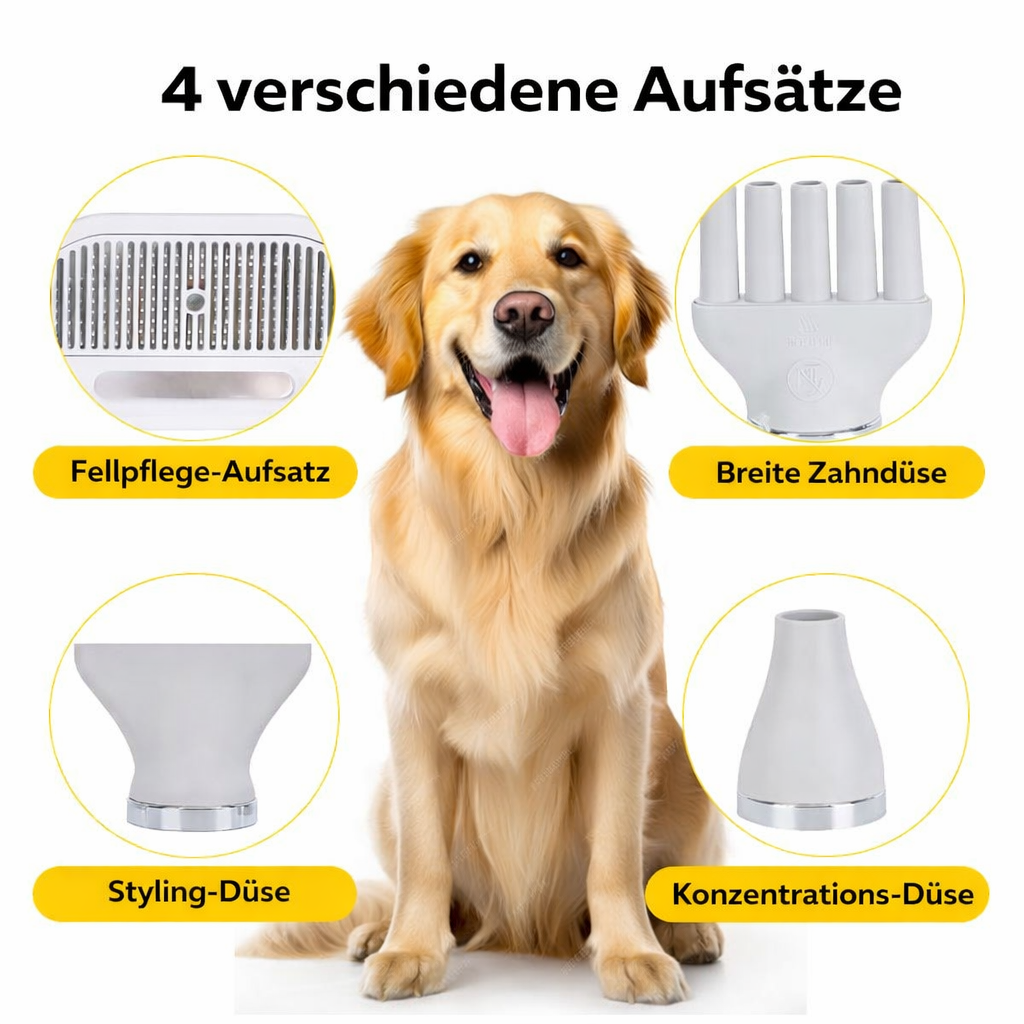 PfotenFöhn