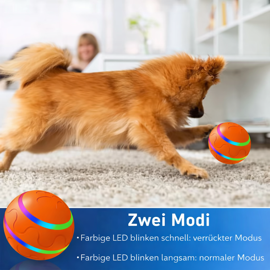 ZappelBall