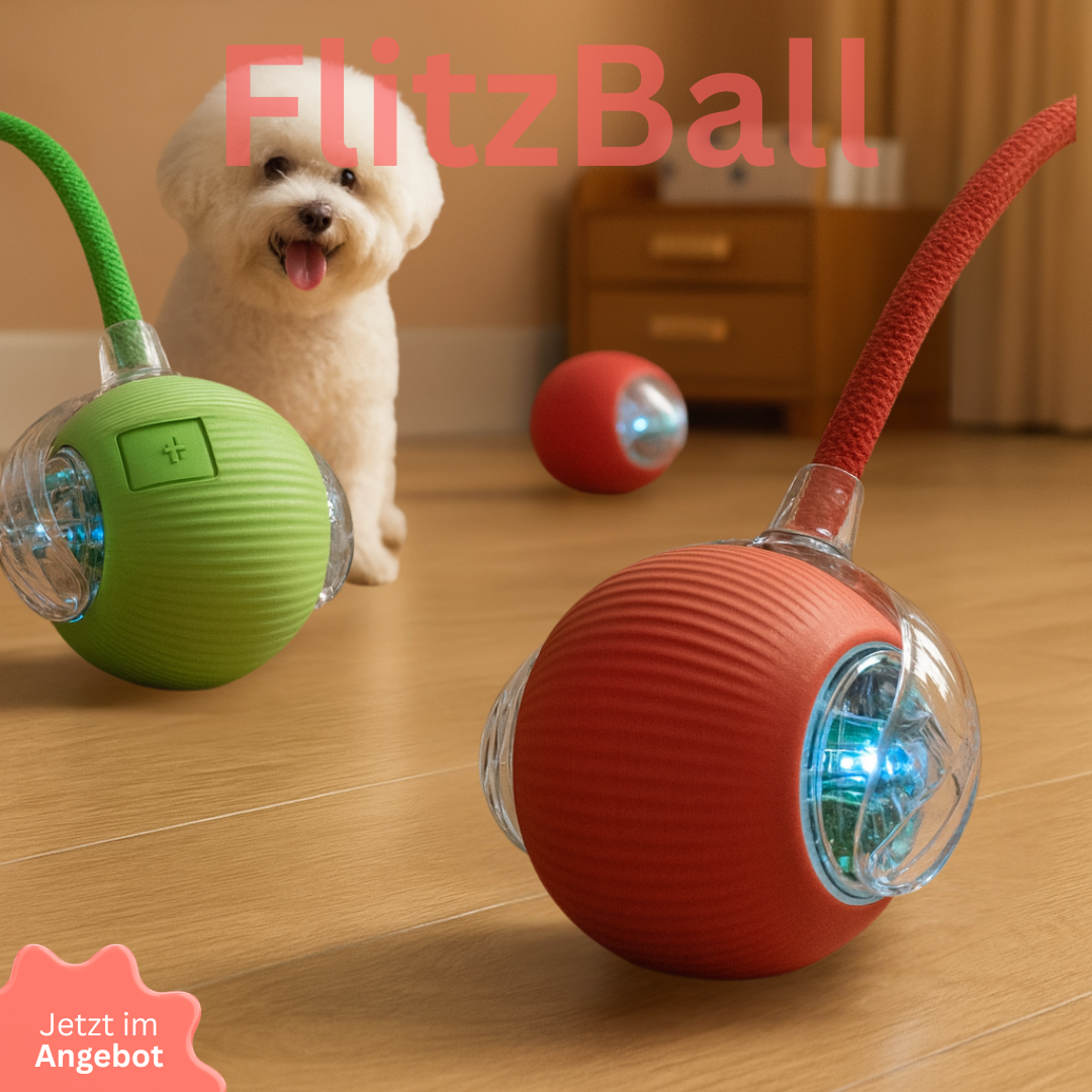 FlitzBall (2025)