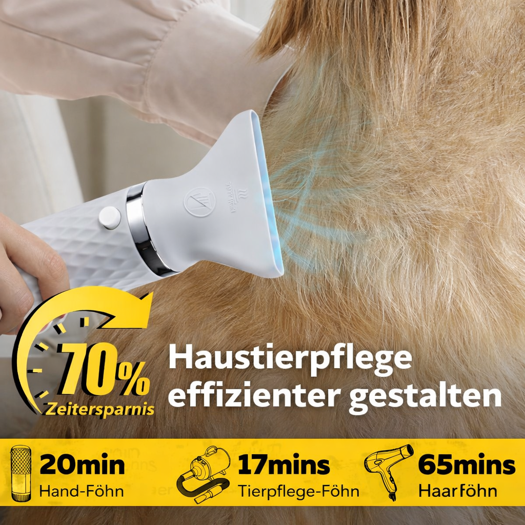 PfotenFöhn