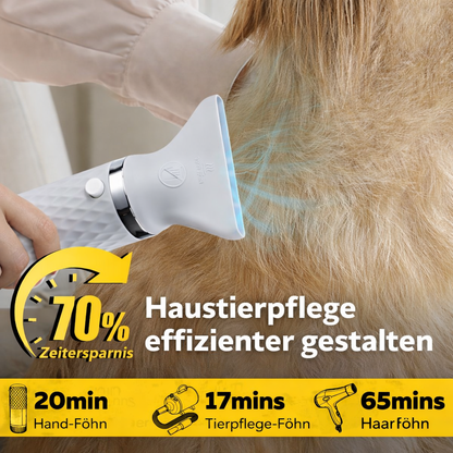 PfotenFöhn