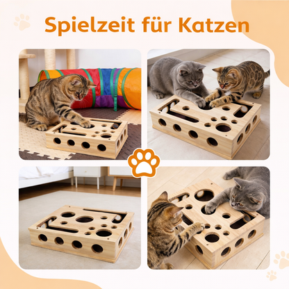 MiauTüftler – Spiel & Kratzbox