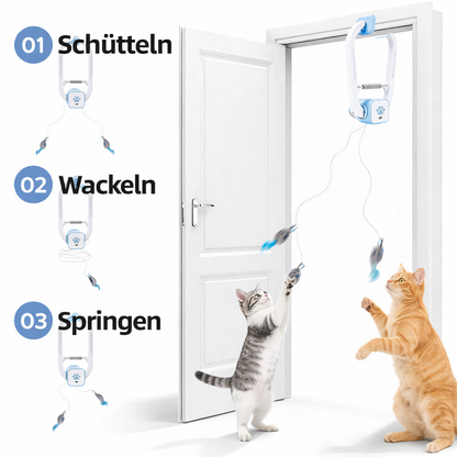 KatzenKarussell