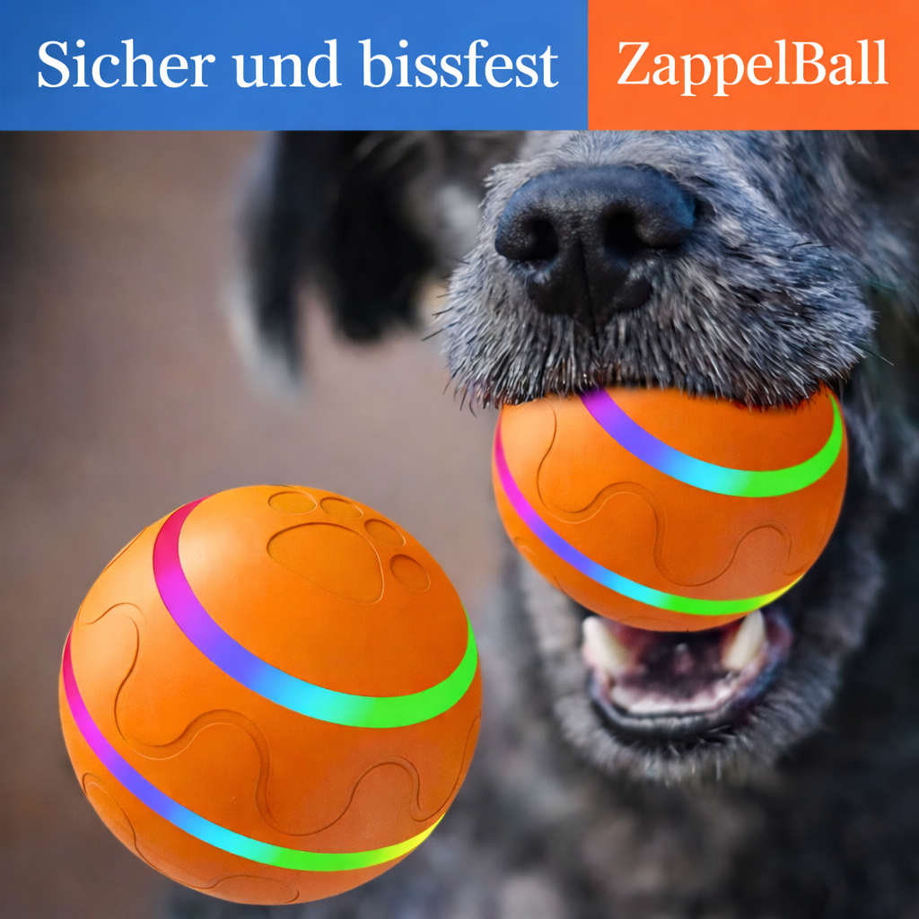 ZappelBall